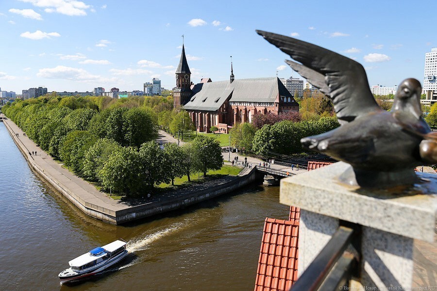 «Слава богу, что сейчас»: остров Канта решили адаптировать под опен-эйры