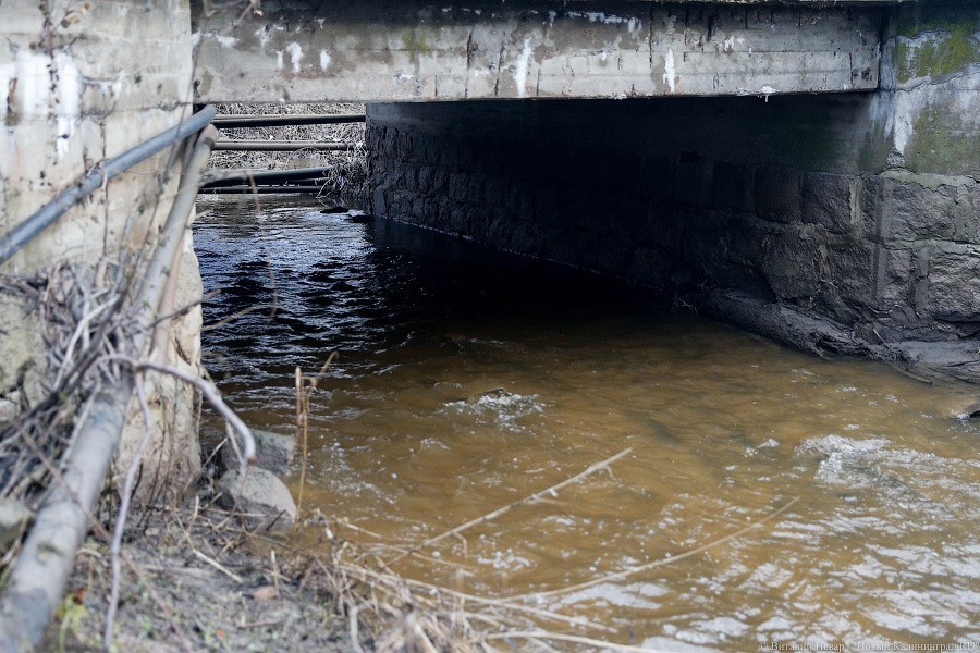 Специалисты нашли в реке Лесной сильное загрязнение-источник неприятного запаха