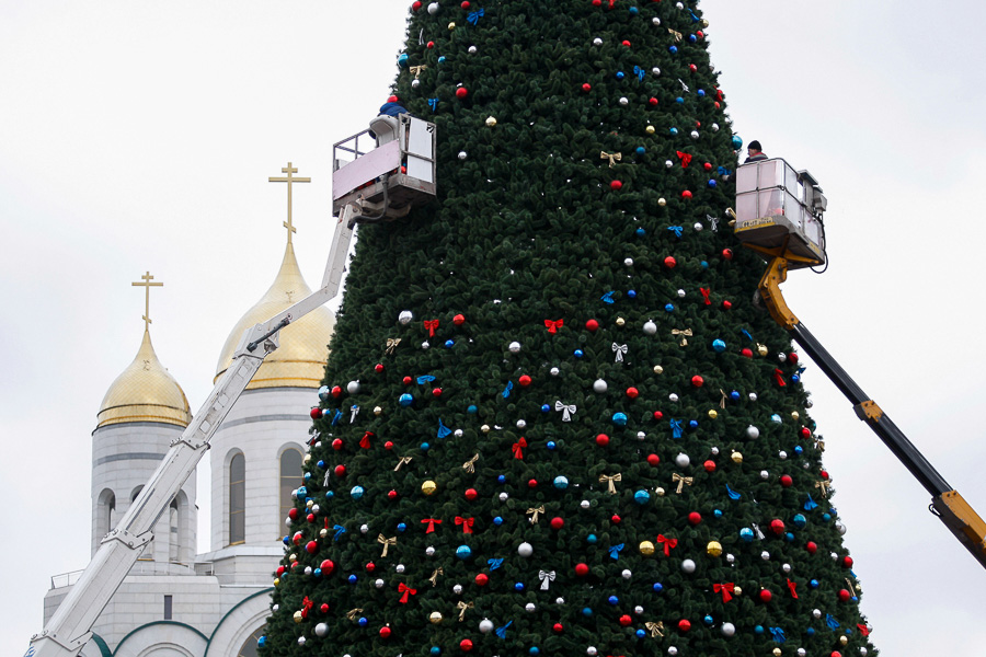 Компания, пытавшаяся продать Калининграду новогоднюю ель, пожаловалась в УФАС