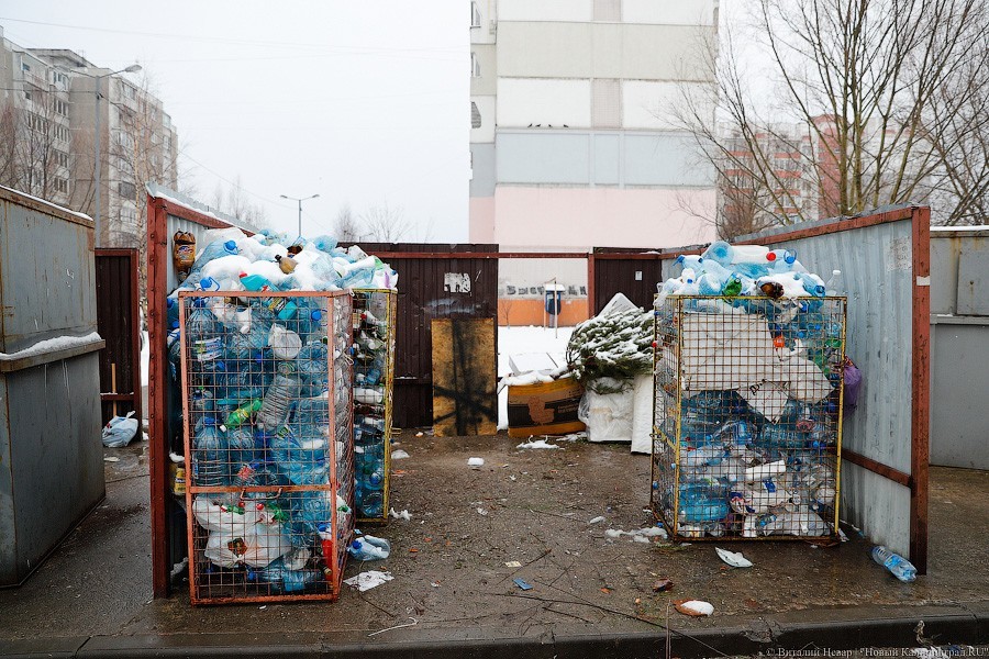 В мэрии Калининграда рассказали, где установят контейнеры для раздельного сбора мусора