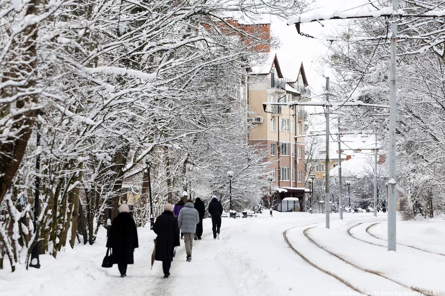 Исследование: в Калининградской области снизилось число тяжких преступлений
