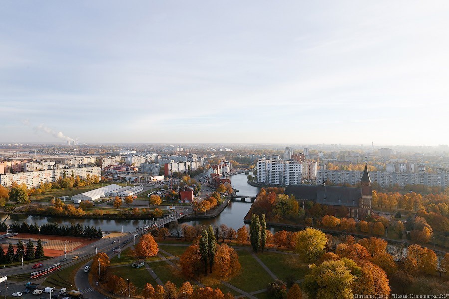 За время пандемии на учет в службу занятости обратились 305 жителей области