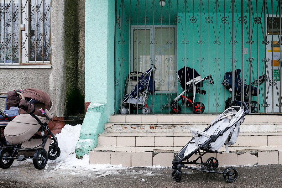 Голикова: Калининградская область в лидерах по росту рождаемости в РФ