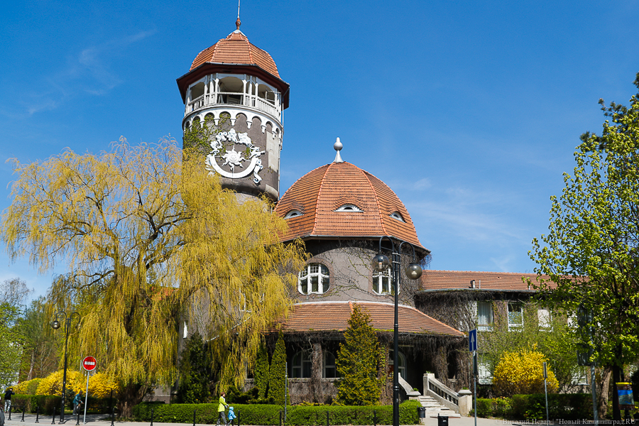 Экс-директора муниципального учреждения Светлогорска обвинили во взяточничестве