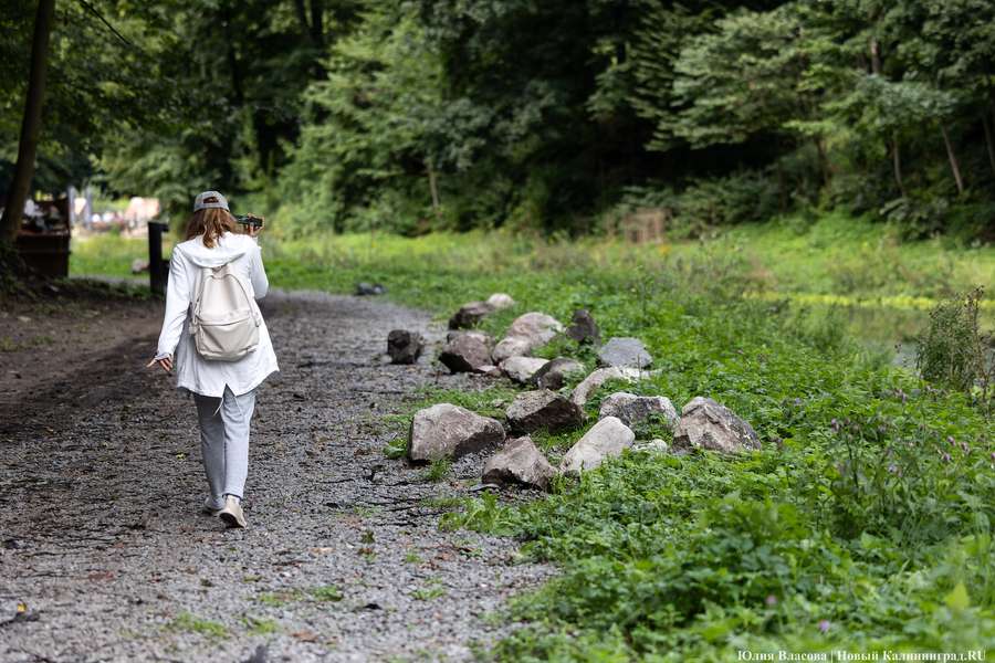 Горвласти намерены заняться релокацией краснокнижных жуков с Литовского вала
