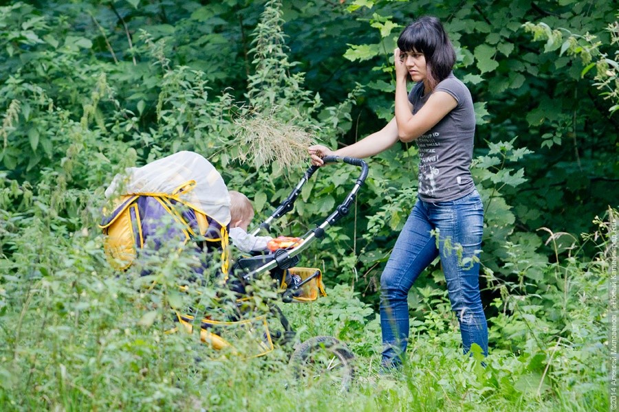 В Польше повышается средний возраст материнства