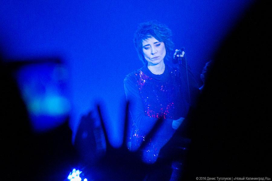 Иск Земфиры к Евгению Гришковцу поступил в калининградский суд