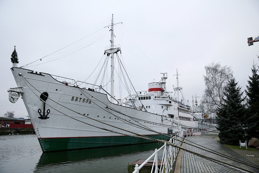 Музей Мирового океана выиграл грант размером 1,2 млн евро. Как он его потратит?