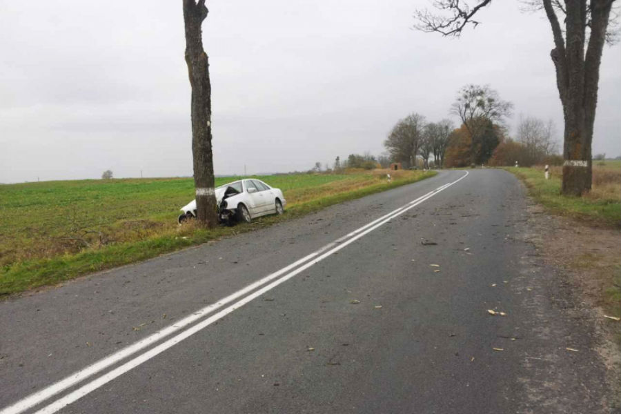Под Правдинском «Мерседес» врезался в дерево, пострадал человек (фото)