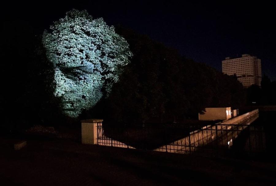 Алиханов показал светящуюся голову Канта на дереве (фото)