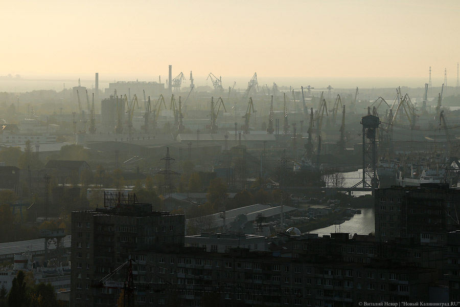 «Сейчас не 37-й год»: как суд изъял у семьи Колесника контрольный пакет акций порта