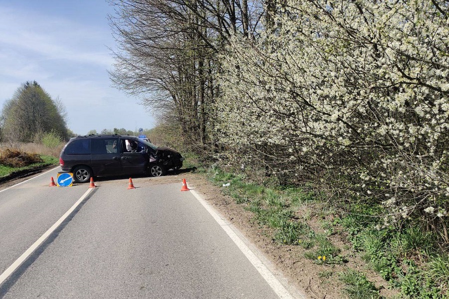 В Полесском районе автомобиль врезался в дерево, пострадали двое детей (видео)