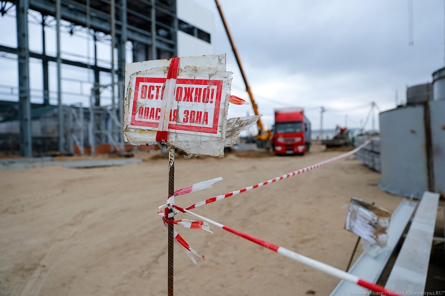 В Калининград не пустили большого черного елового усача