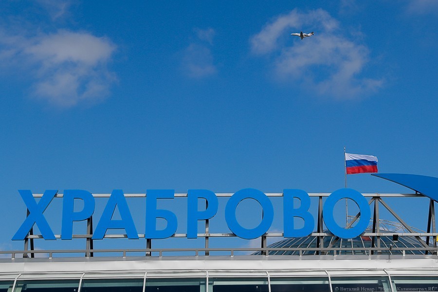 Сенаторы предлагают упростить вырубку у аэропортов