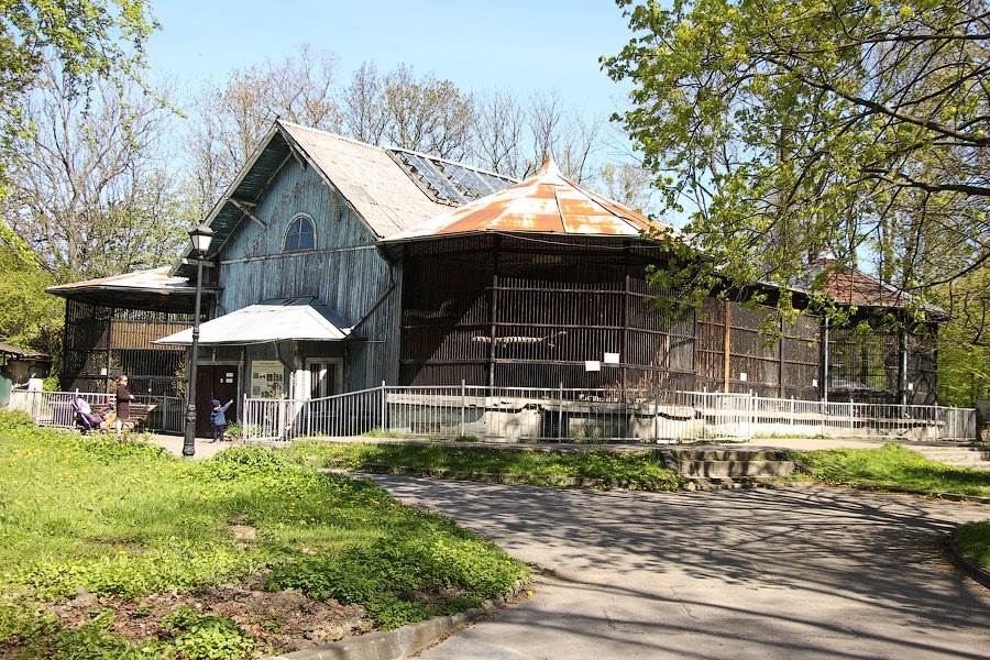 Зоопарк объявил конкурс на реконструкцию «львятника» в «Дом тропической птицы»