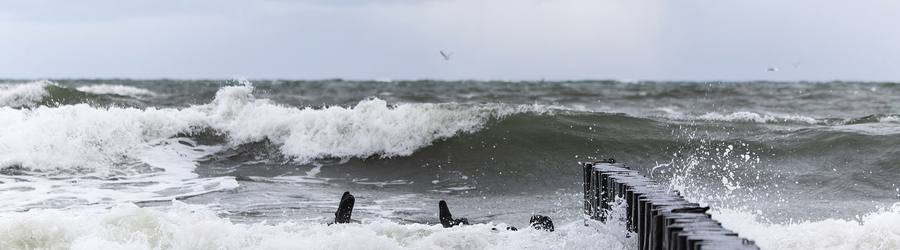 Вечерний@Калининград: штормовые перебои, зеленоградские Мальдивы и «Династии»