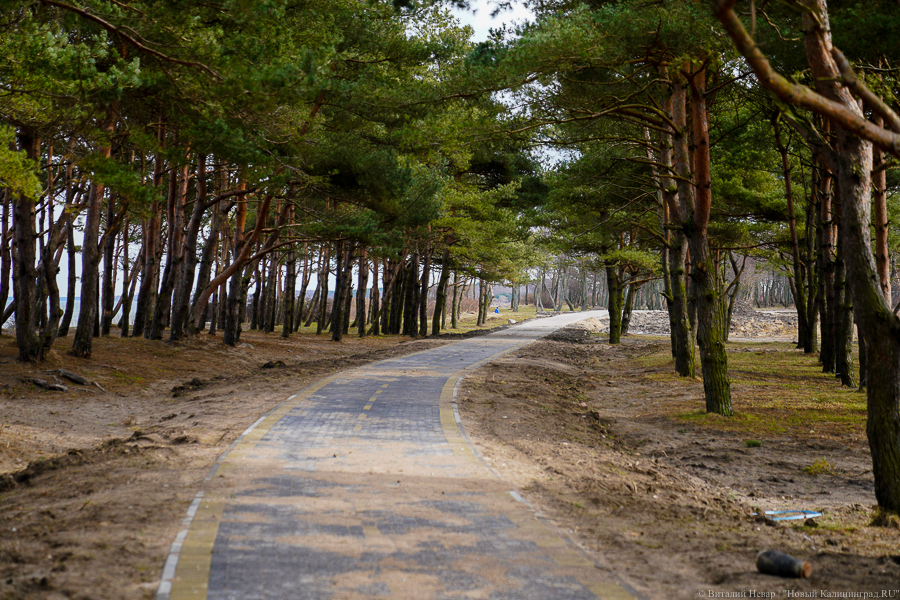 На проект второго этапа велодорожки «от косы до косы» власти выделяют более 30 млн руб.