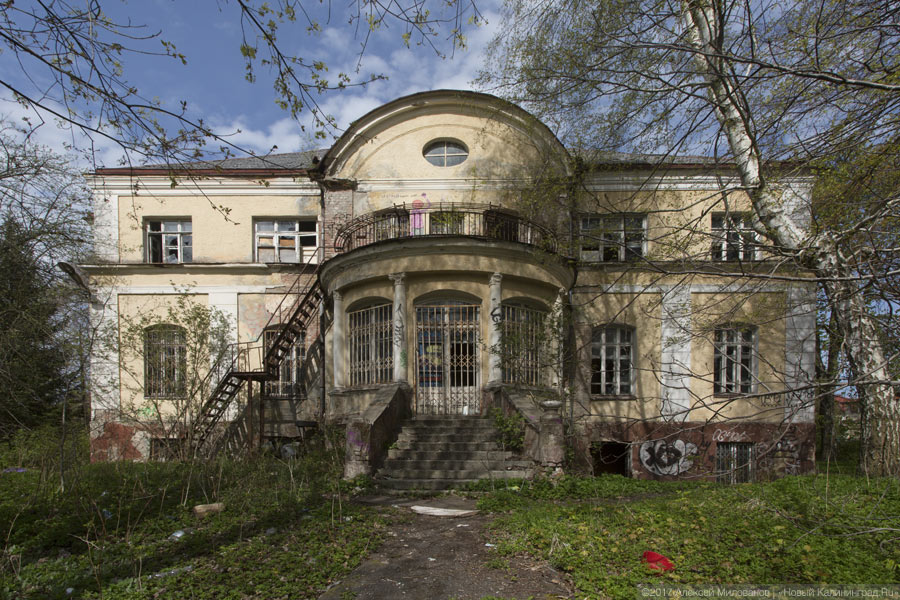 Исследование: иностранцев в Калининграде интересует историческое наследие и море