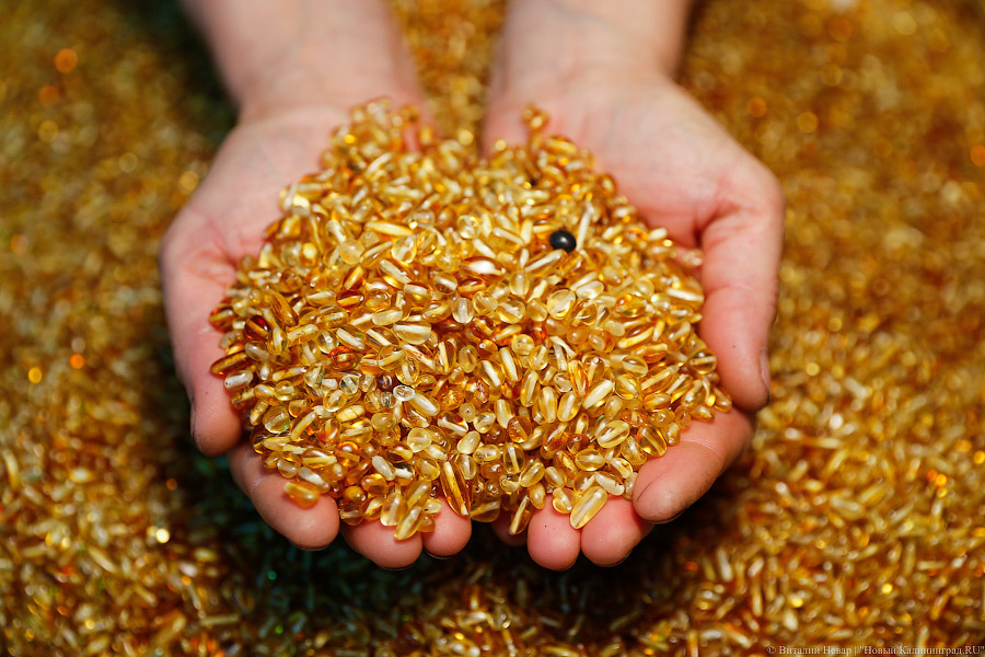 Янтарный комбинат пообещал местным переработчикам 24 тонны янтаря