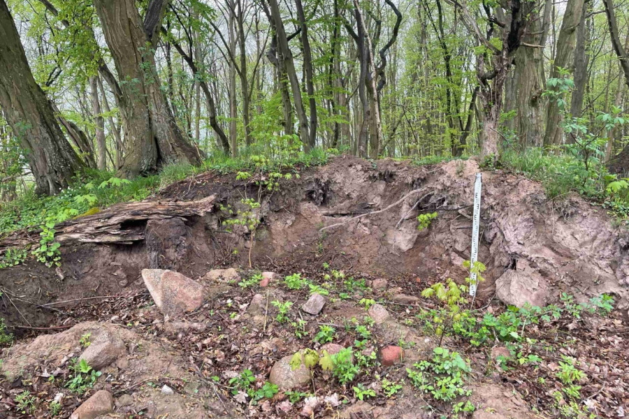 В Зеленоградском районе неизвестные разорили древний курганный могильник (фото)