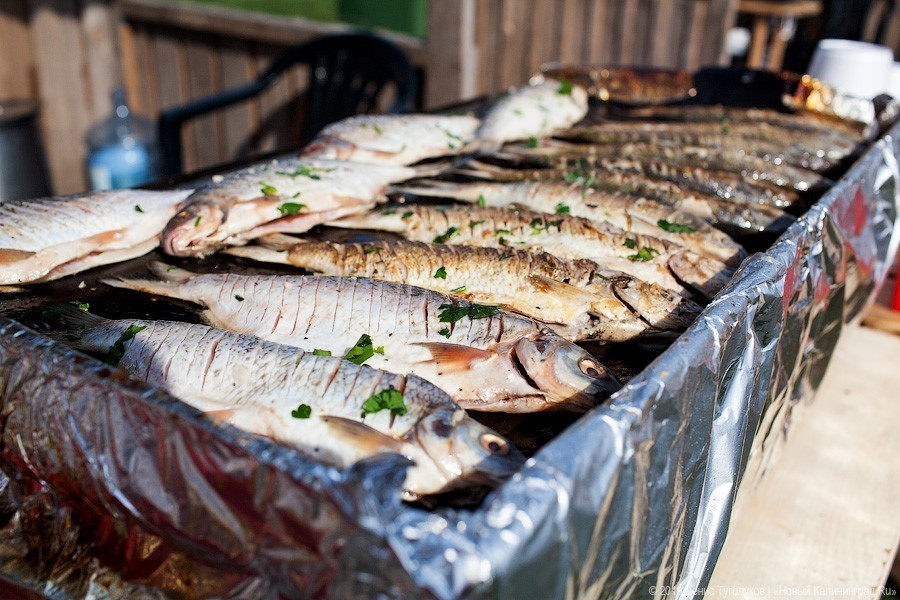 Съесть рыбца, а не собаку: почему мы любим деревенские праздники в Ниде