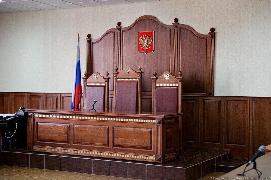 Калининградцу, сбившему насмерть пешехода, дали почти 5 лет