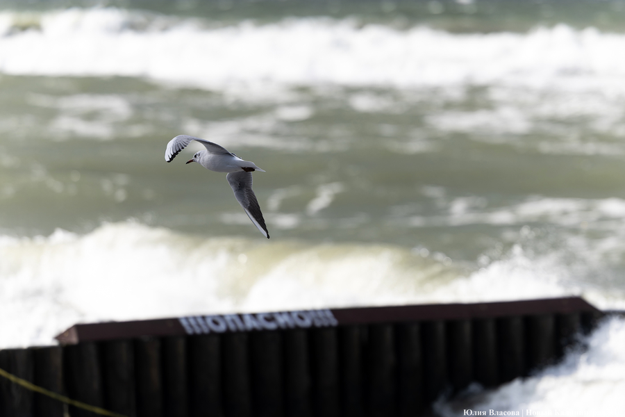 Погода в Калининградской области 28 декабря