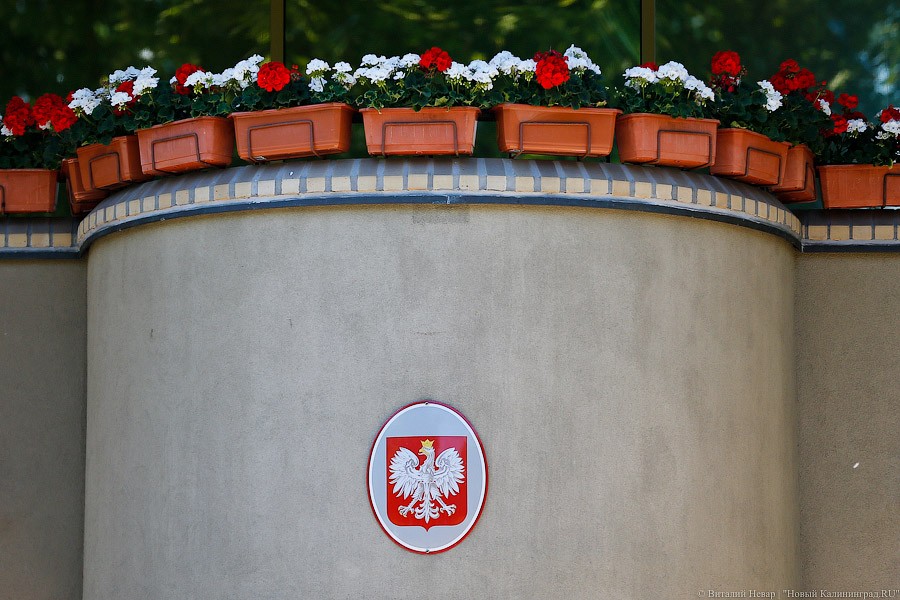 Польша отказалась от участия в заседании комиссии по культуре ПАСЕ из-за России