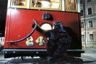 В Калининграде на один день появится "булгаковский трамвайчик"