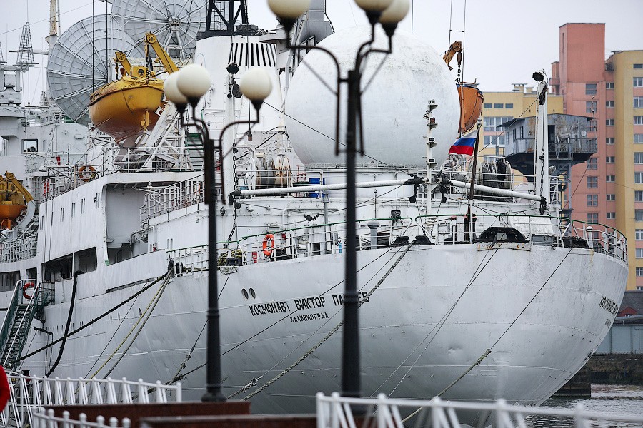 Музей Мирового океана потерял 30 млн рублей за время карантина