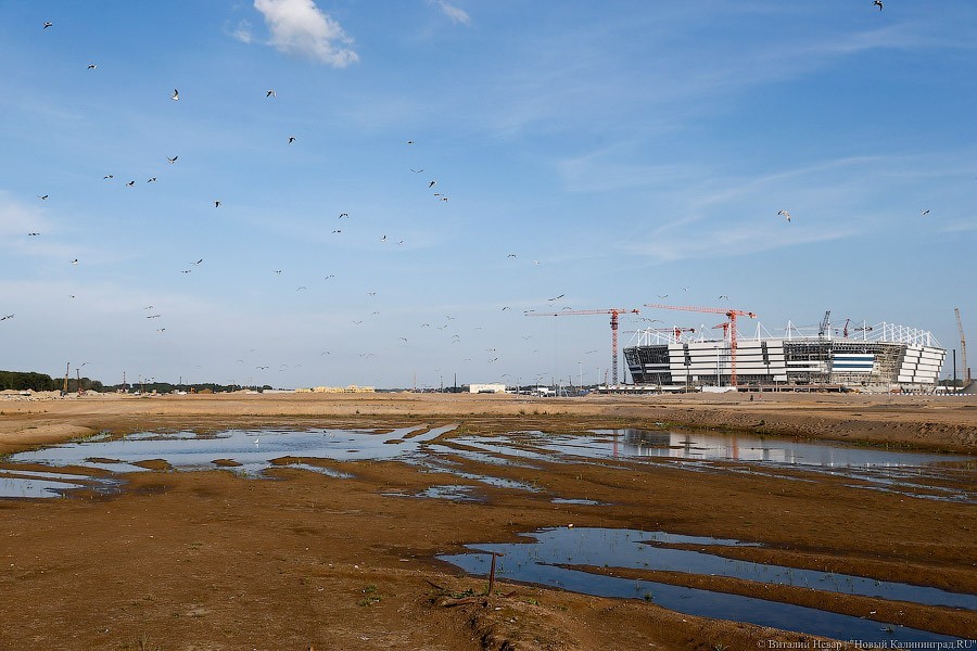 Власти области проводят закрытый конкурс на мастер-план Октябрьского острова