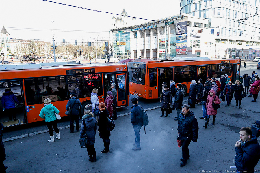 В «Калининград-ГорТрансе» болеют 3% водителей и 2% кондукторов