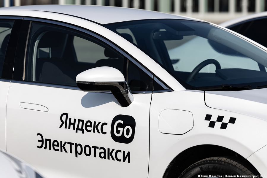 Калининград занял 12-е место по соотношению электромобилей к общему числу авто