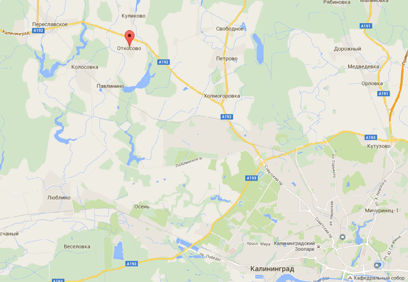 Очевидцы: под Калининградом водитель «БМВ» сбил на переходе мужчину