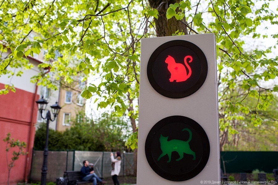 В Зеленоградске ищут сломавших фонарь в отремонтированном сквере (видео)