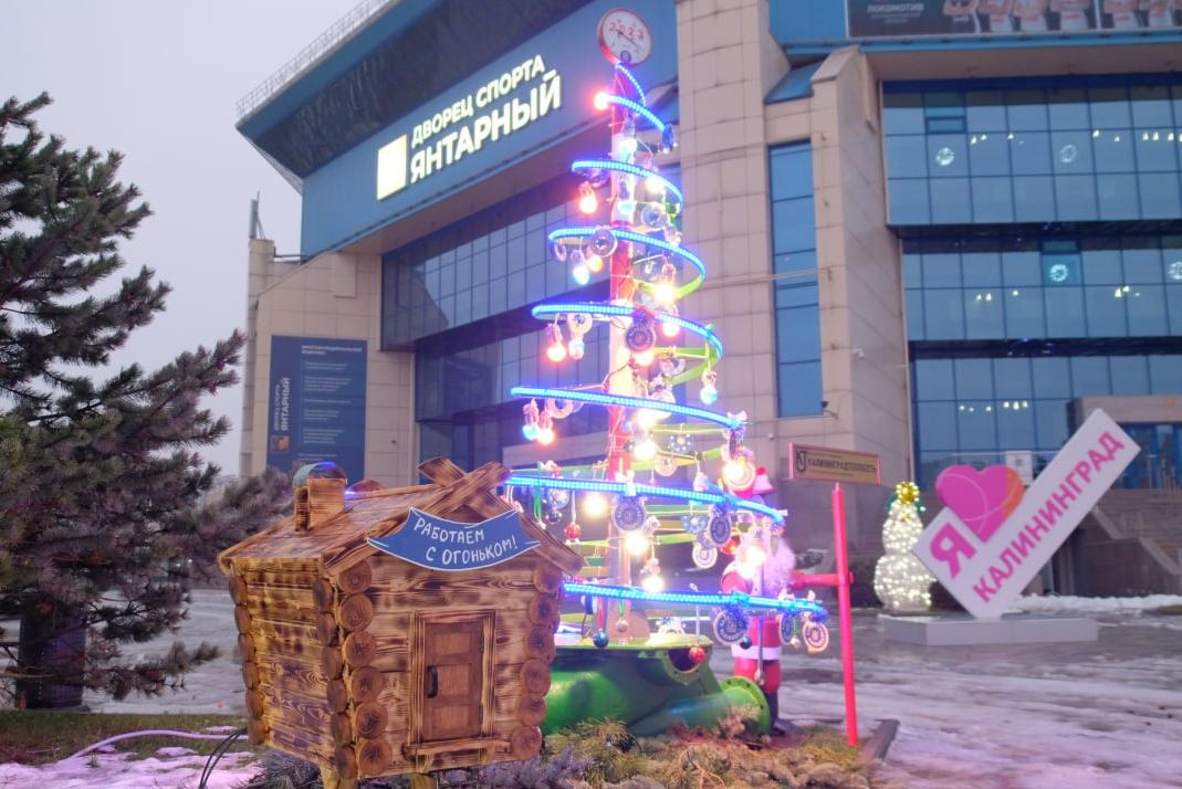 С манометром на верхушке: в Калининграде устроили «елочный парад» (фото)