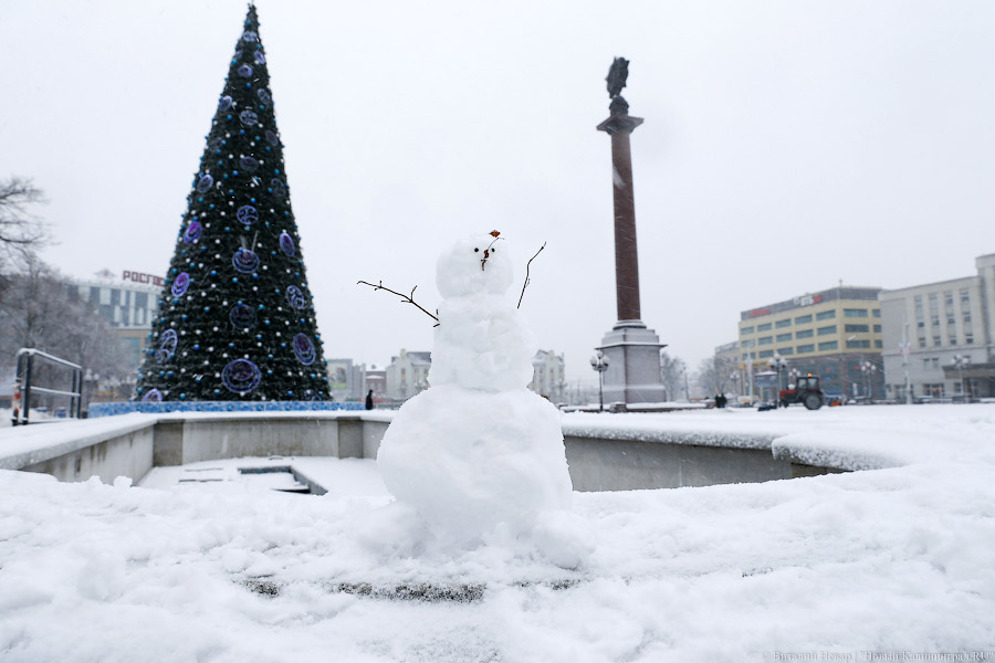 Калининград Зимой Фото