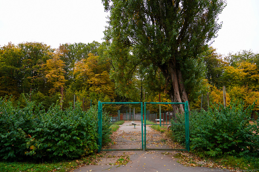Жители потребовали в суде отмены решения властей по переводу «Спартака» под застройку