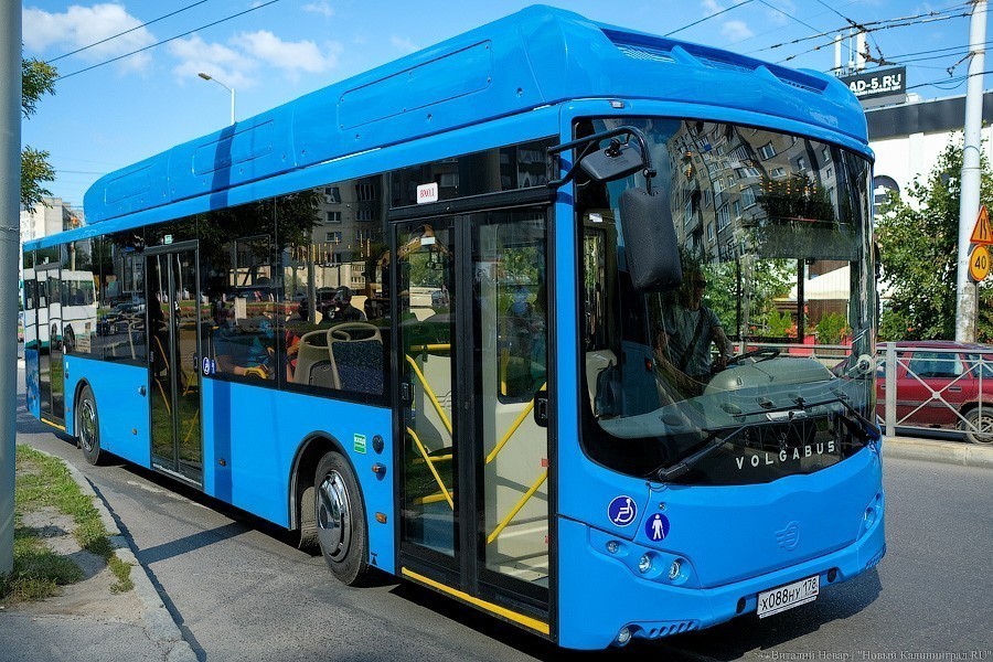 Кропоткин рассказал, придется ли городу софинансировать покупку электробусов