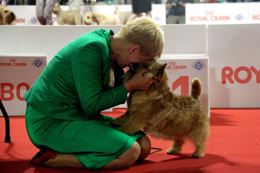 Яна Портунова и Камаз на «World Dog Show-2015». Фото — Раиса Хортова; предоставлено собеседницей