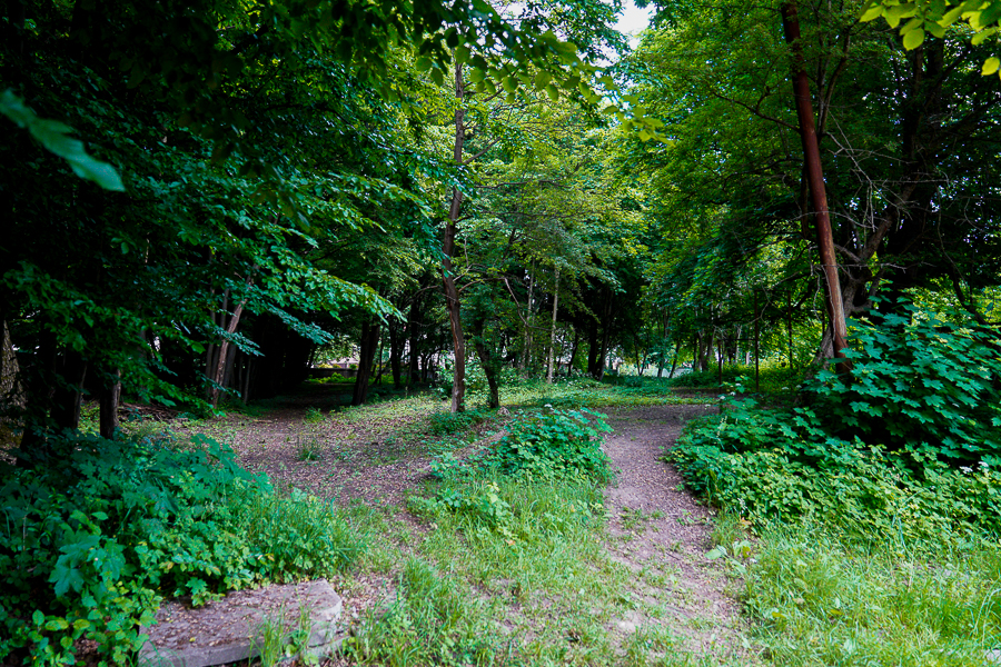 Для покрытия дорожек Макс-Ашманн-парка власти решили применять эластопейв