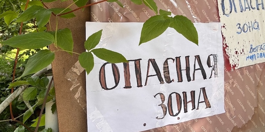 Новости Калининграда: топливо возвращается в канистры, старый клён и два Гана