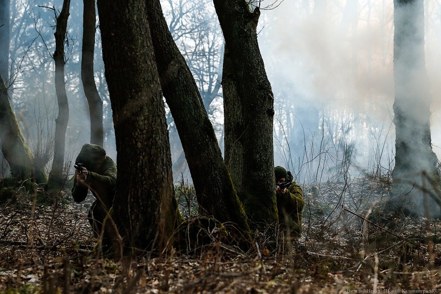 В Польше стартовали учения НАТО Saber Strike