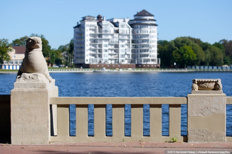 Читавшего книгу на набережной калининградца оштрафовали за несоблюдение самоизоляции