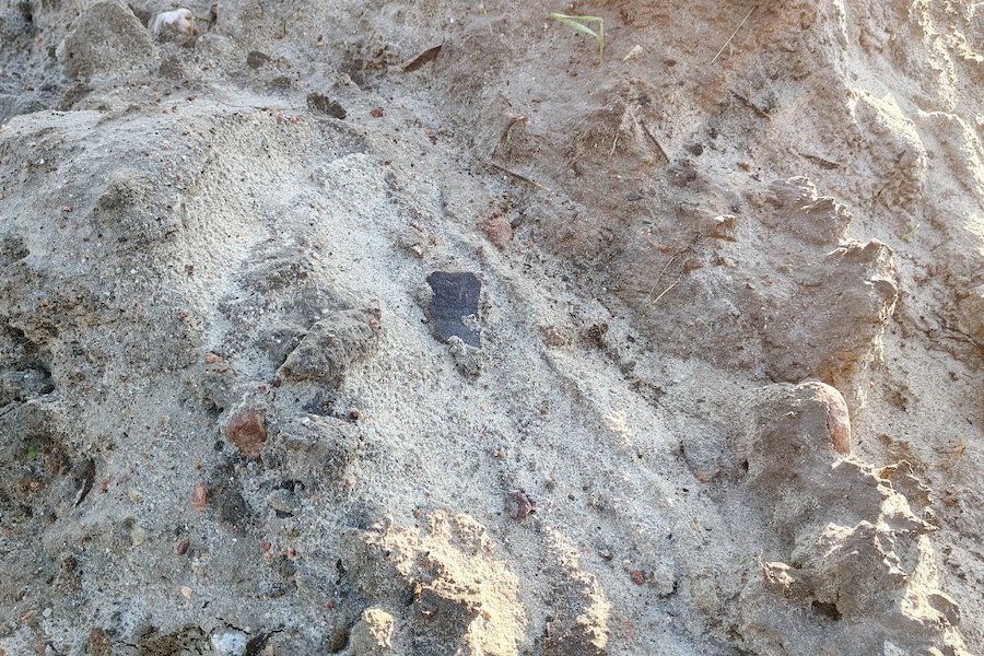 Археологи: велодорожка «От косы до косы» прошла по древним могильникам