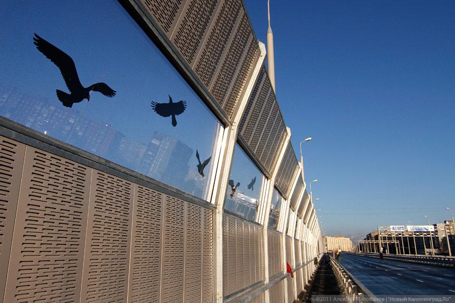 Мэрия Калининграда выдала разрешение на строительство съездов со второй эстакады