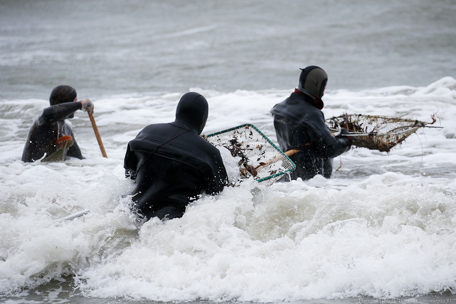 В Балтийском море пограничники задержали ныряльщиков за янтарем