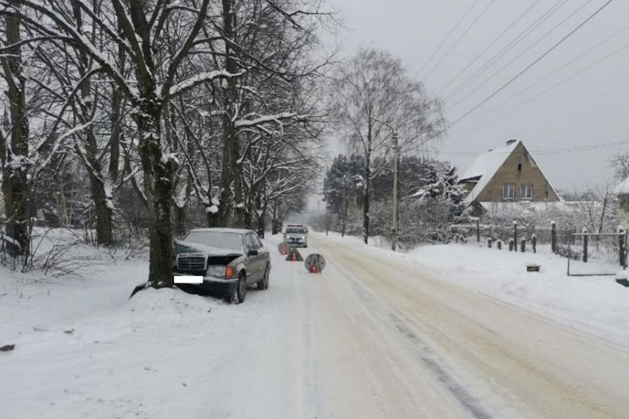 В Советске «Мерседес» врезался в дерево, пострадала водитель (фото)