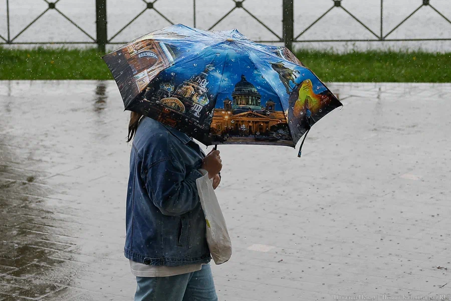 Погода в Калининграде 8 августа