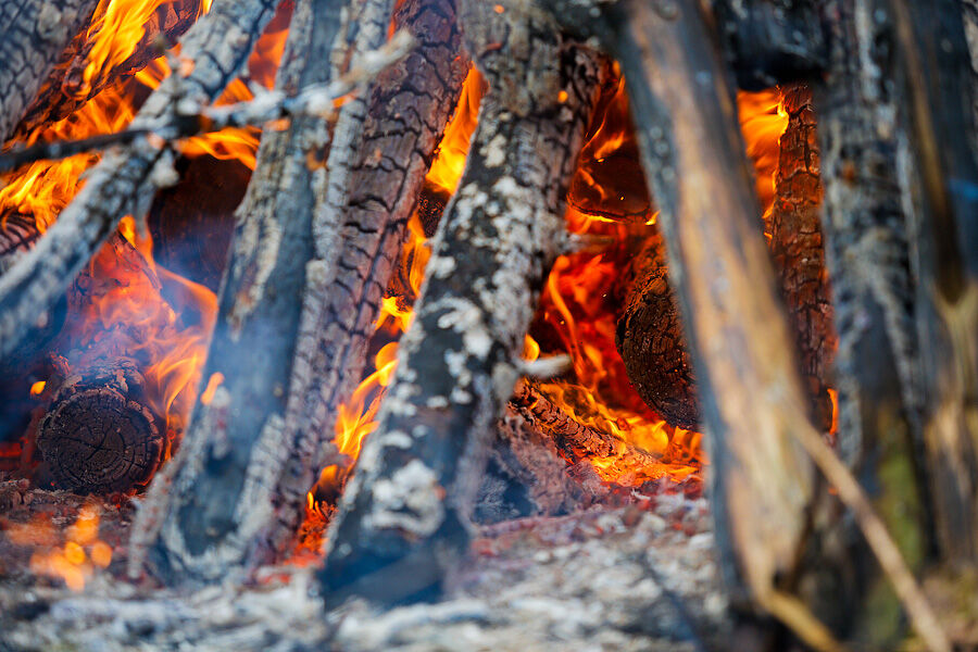 Без костров и фейерверков: в регионе вводят особый противопожарный режим 